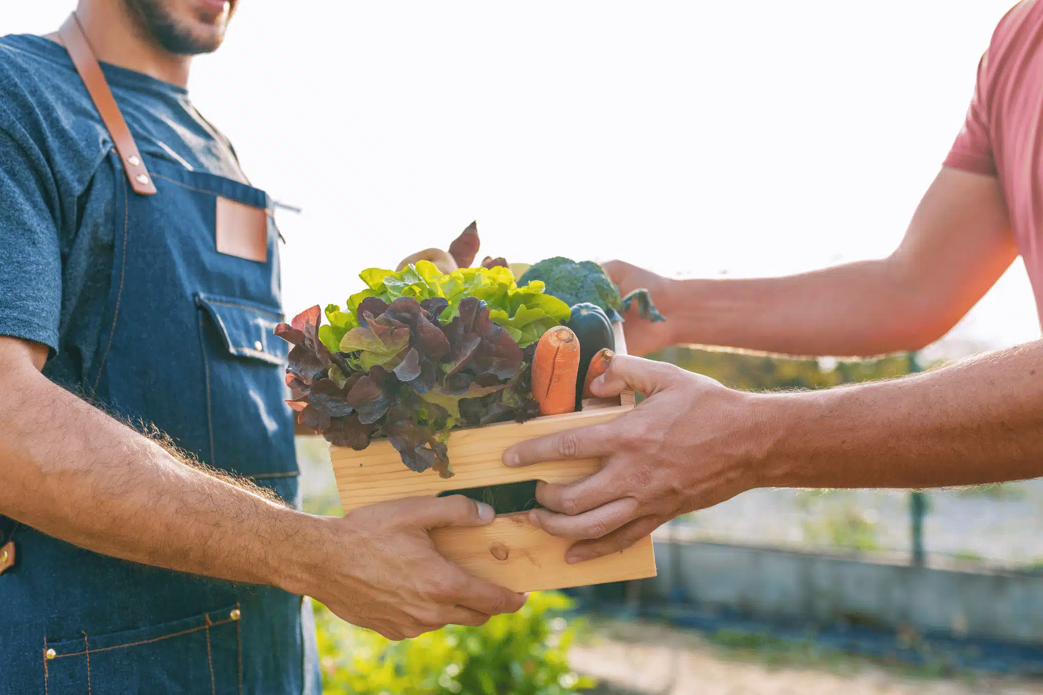 Potenzia il Marketing Locale per la Tua Attività Food: 8 Consigli Efficaci!